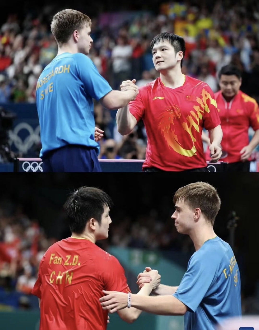 法国乒乓球队鏖战德国乒乓球队，樊振东统治全场