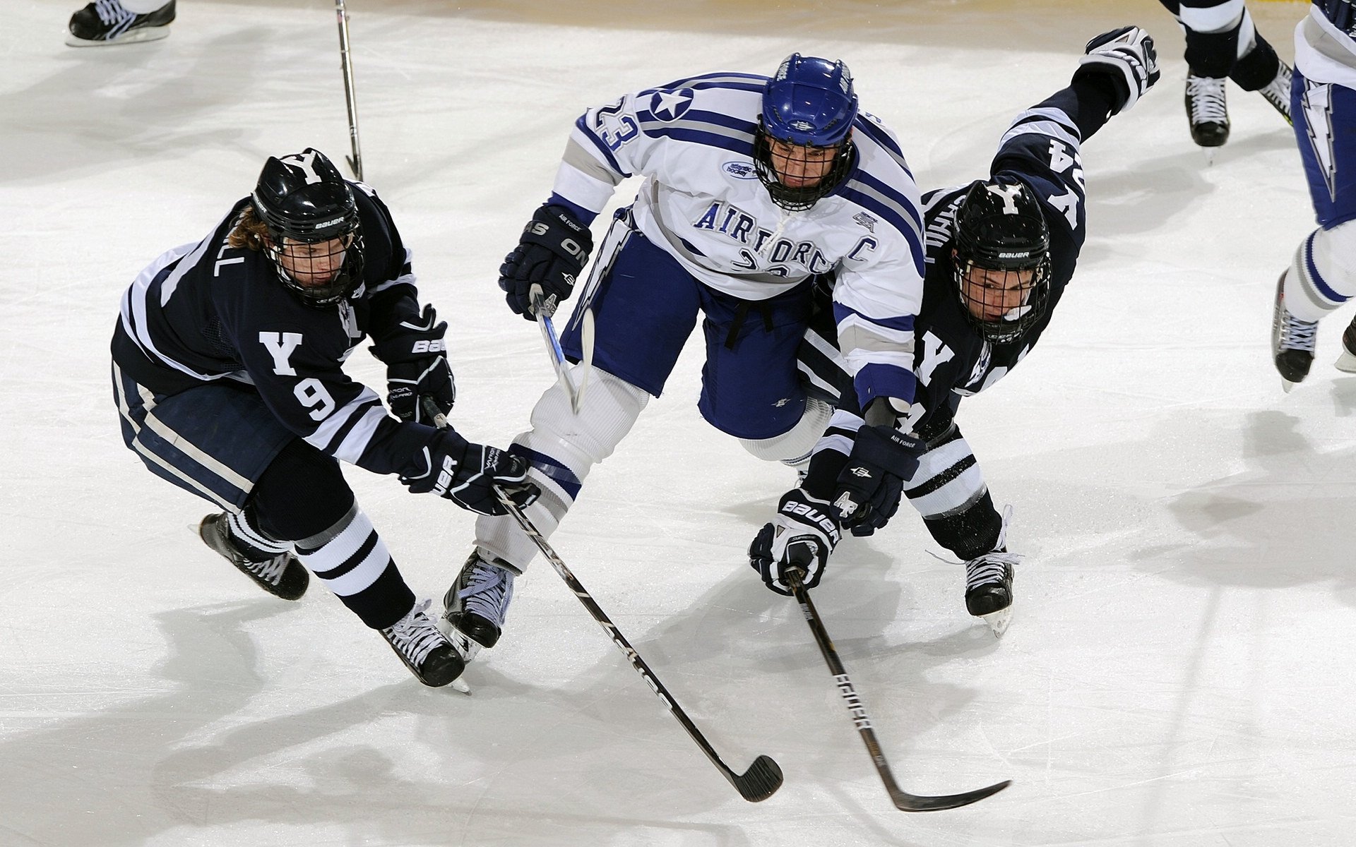 温网碾压拉沃尔杯，西西帕斯点燃赛场
