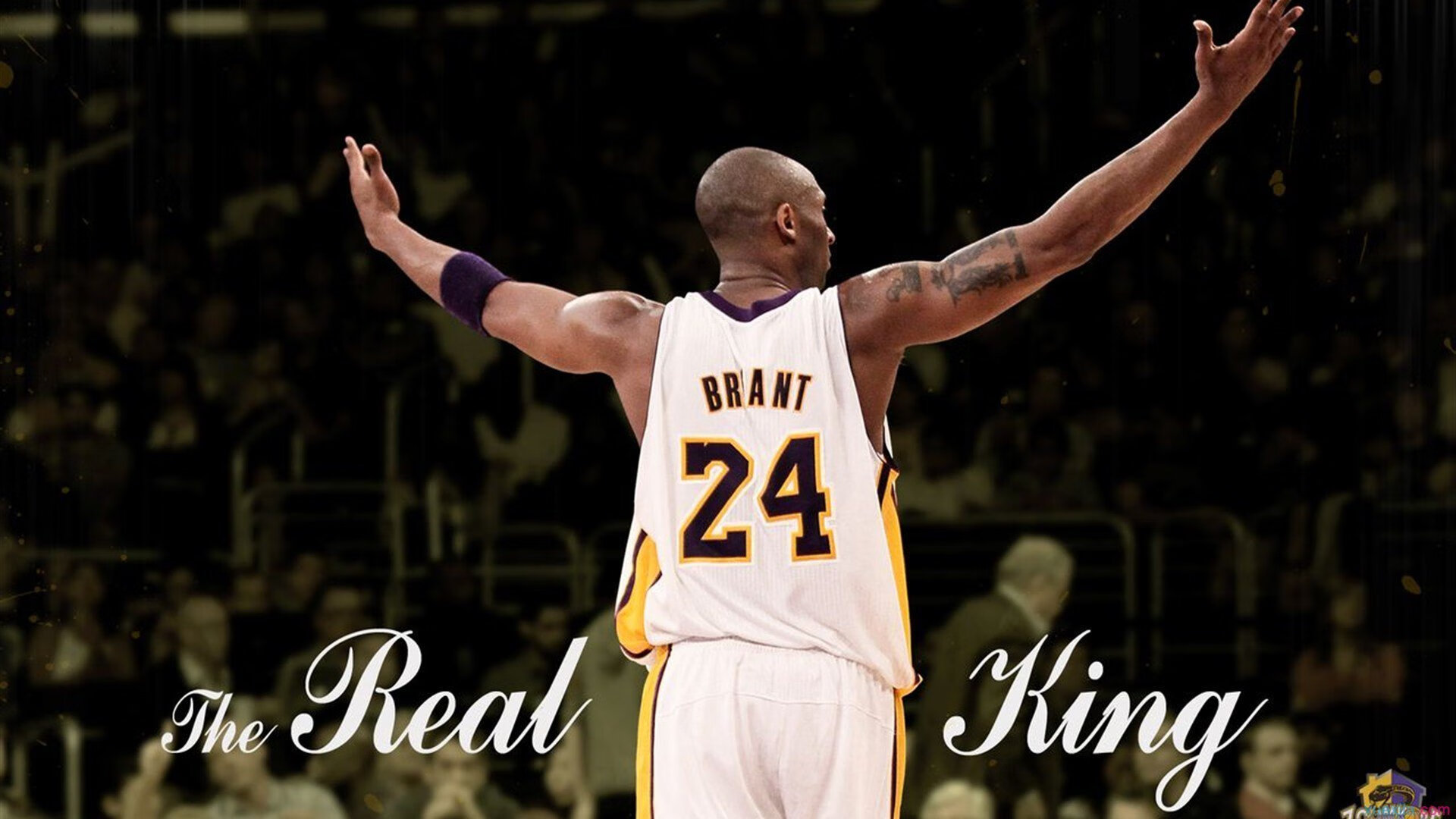 王皓独揽三球，波兰队战术完胜德国队