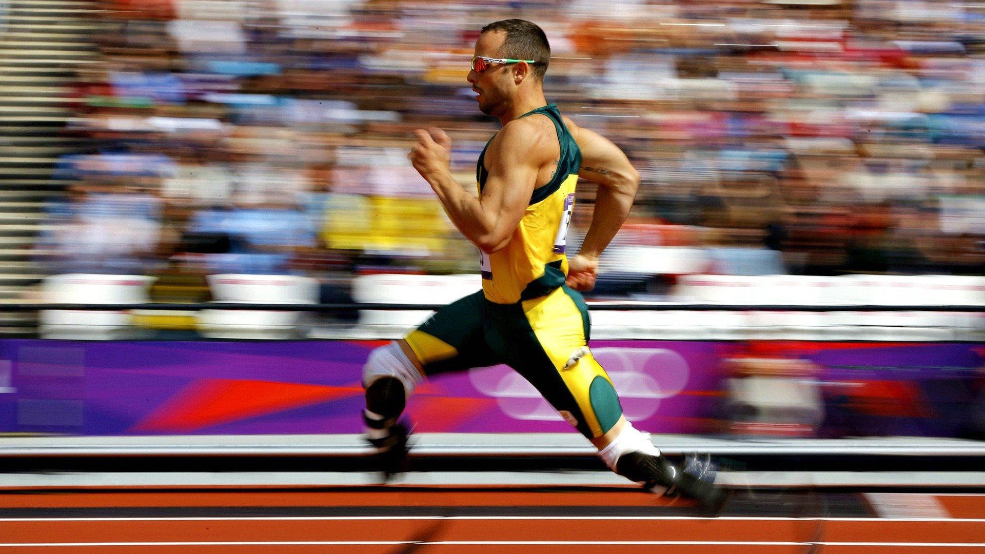 红牛车队轻取法拉利，塞恩斯关键制胜，策略与勇气的完美结合